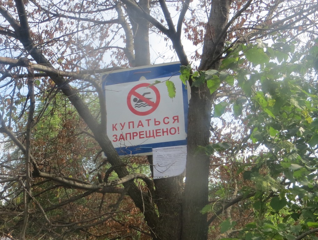 На диких пляжах Саратова усилят контроль за купальщиками На диких пляжах Саратова усилят контроль за купальщиками